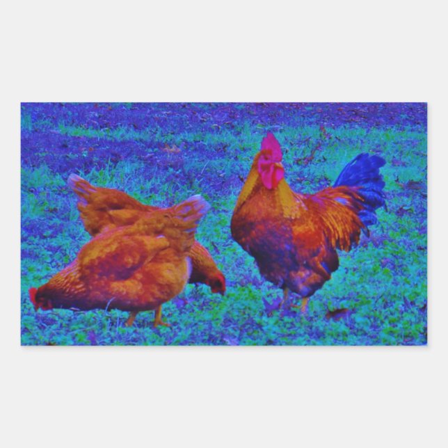Adesivo Retangular Rainbow Rooster & Hens, Blue Elétrico (Frente)