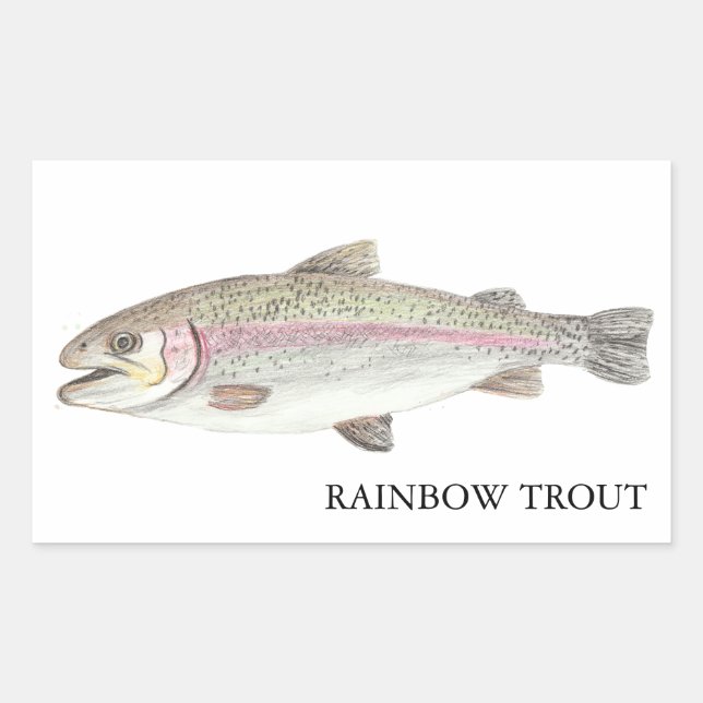 Adesivo Retangular Rainbow Trout ニジマス (Frente)