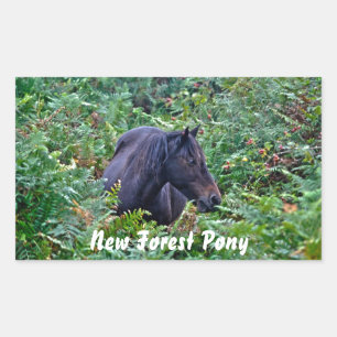 Adesivo Retangular Rare Black New Forest Pony - Wild Horse - Inglater