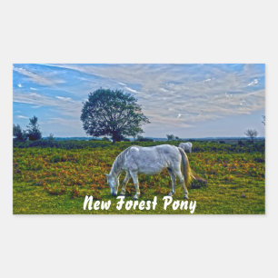 Adesivo Retangular Rare White New Forest Ponies, Cavalo Selvagem - In