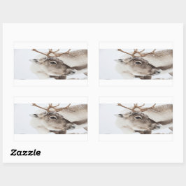 Adesivo Retangular Reindeer Nature Photo
