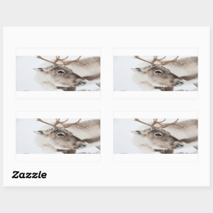 Adesivo Retangular Reindeer Nature Photo