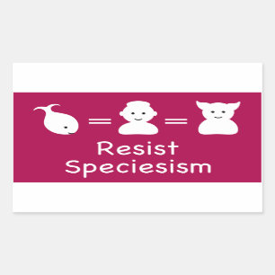 Adesivo Retangular Resistência à especialidade