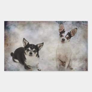 Adesivo Retangular Retrato de dois chihuahua