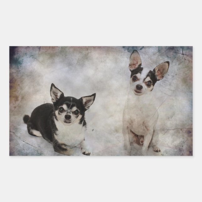 Adesivo Retangular Retrato de dois chihuahua (Frente)