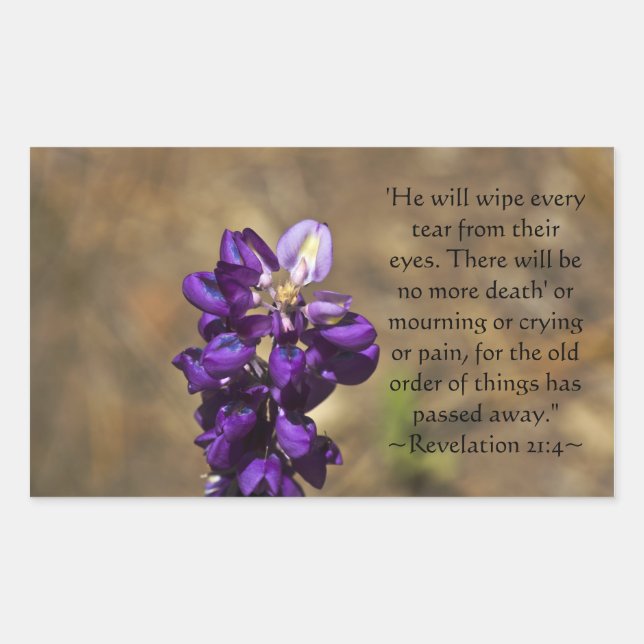 Adesivo Retangular Revelação 21:4 (Frente)