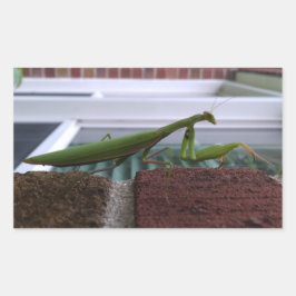 Adesivo Retangular Rezando Mantis na Parede Brick
