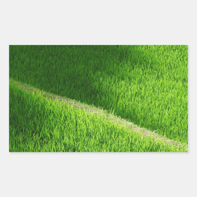 Adesivo Retangular Rice Terraces Yamada's Rice Fields Japão (Frente)