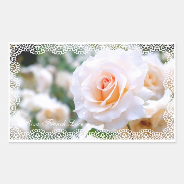 Adesivo Retangular Rosa French Lace [Rectangular Seal] (Frente)