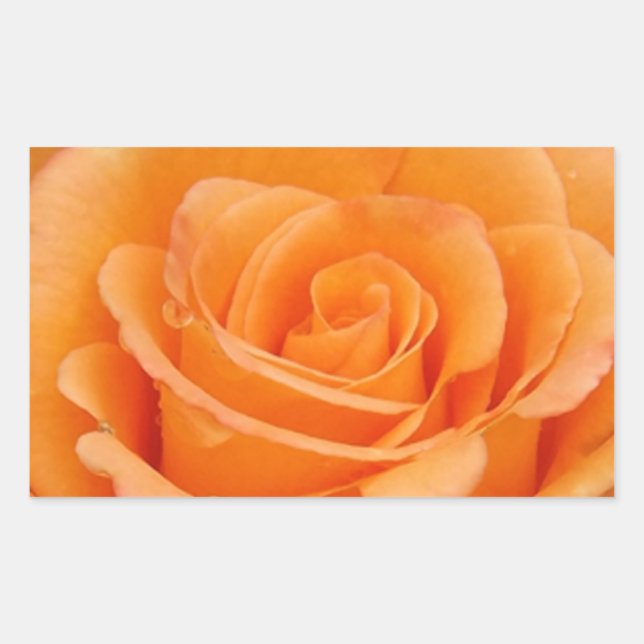 Adesivo Retangular Rosa laranja (Frente)
