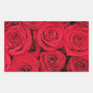 Adesivo Retangular Rosas vermelhas de Therosegarden