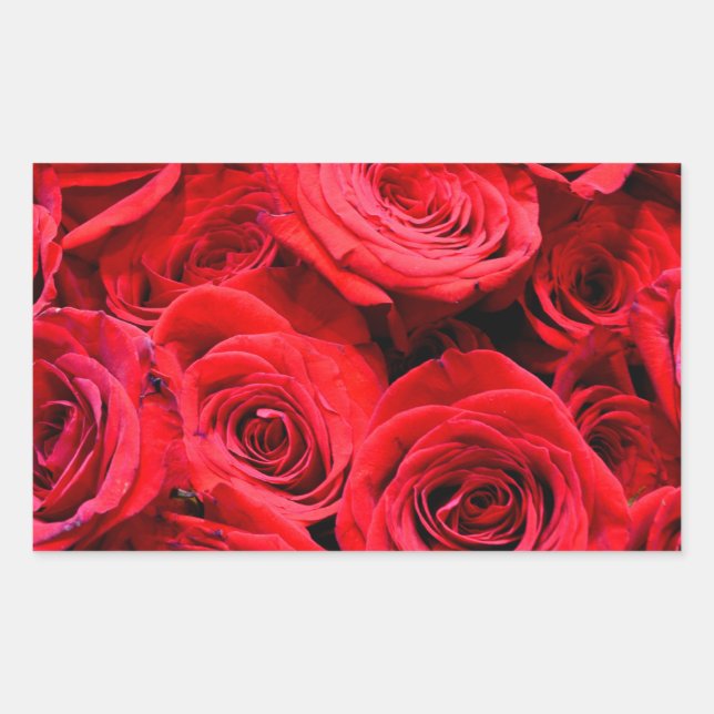 Adesivo Retangular Rosas Vermelhas flores vermelhas rosas florais (Frente)