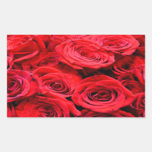 Adesivo Retangular Rosas vermelhas flores vermelhas rosas florais
