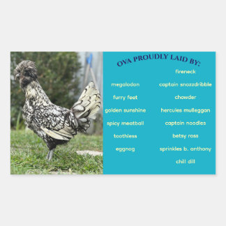 Adesivo Retangular Rótulo da embalagem de ovos