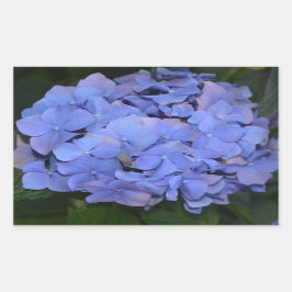 Adesivo Retangular Roxo Roxo Hidrangea macrofilla