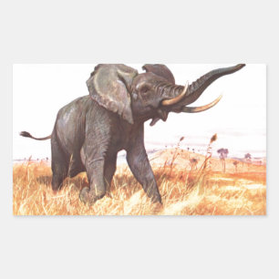Adesivo Retangular Safari African Jungle Destinants Elephants