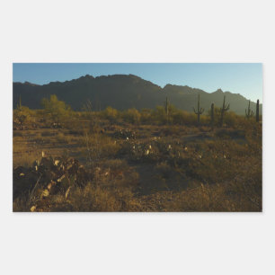 Adesivo Retangular Saguaro Sunrise no Parque Nacional de Saguaro