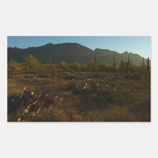 Adesivo Retangular Saguaro Sunrise no Parque Nacional de Saguaro (Frente)