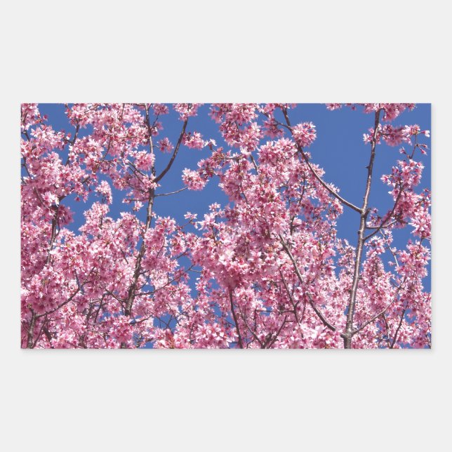 Adesivo Retangular Sakura Flores de Cerejeira no Azul (Frente)