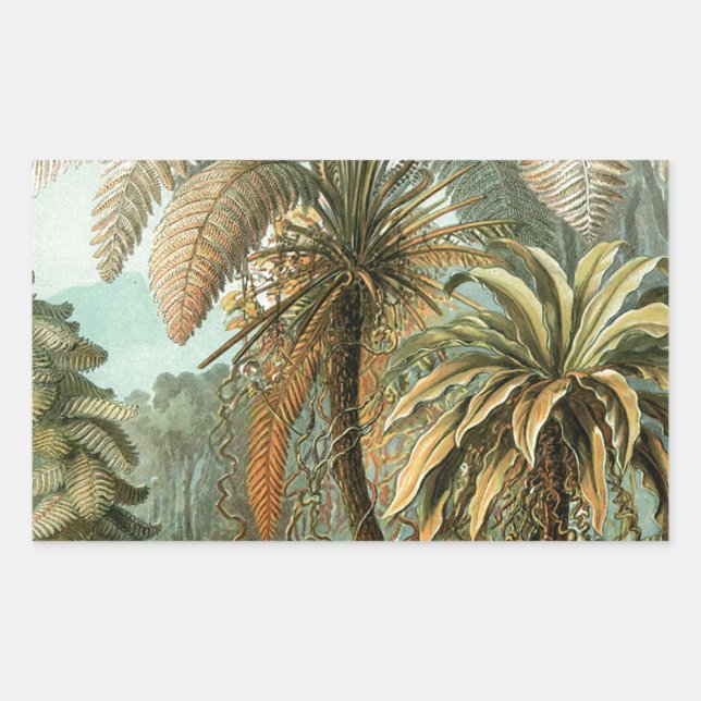 Adesivo Retangular Samambaia Palmeira Antiga Arte Botânica de Samamba (Frente)