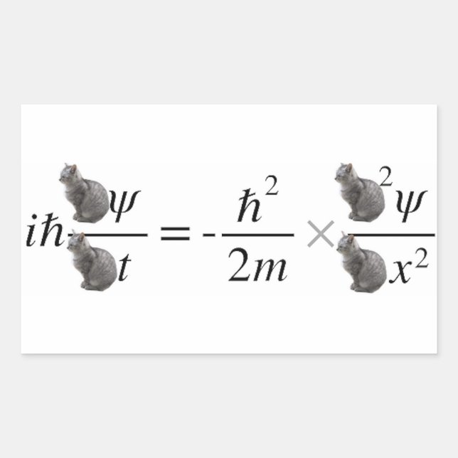 Adesivo Retangular Schrodinger's cat (Frente)