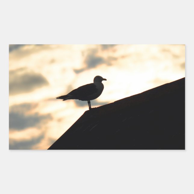 Adesivo Retangular Sea Gull Sunset (Frente)