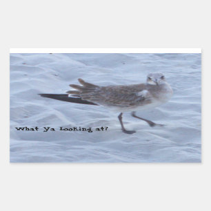 Adesivo Retangular Seagull nos Stickers da Praia