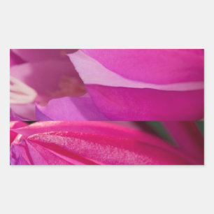 Adesivo Retangular Sedução cor-de-rosa perfeita: Corações românt