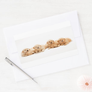 Adesivo Retangular Seis Ouros de compras