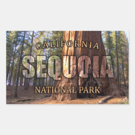 Adesivo Retangular Sequoia National Park Sticker
