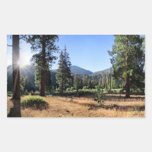 Adesivo Retangular Simpson Meadow - Sierra