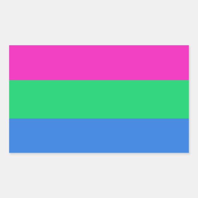 Adesivo Retangular Sinalizador do Orgulho Polisexual (Frente)