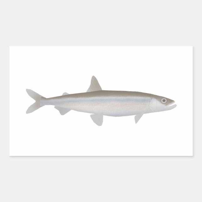 Adesivo Retangular Smelt Europeu (Frente)