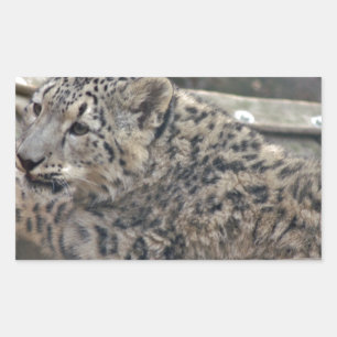 Adesivo Retangular Snow Lepard