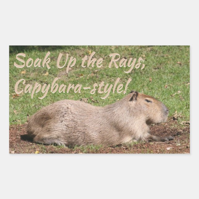 Adesivo Retangular Soak Up the Rays, estilo Capybara! (Frente)