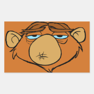 Adesivo Retangular Sr. Chim