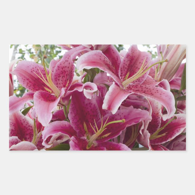 Adesivo Retangular Stargazer Lily (Frente)