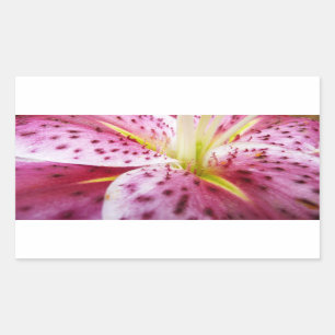 Adesivo Retangular Stargazer Lily Bright Magenta Floral