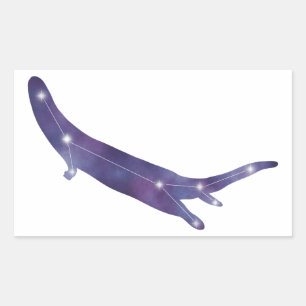 Adesivo Retangular Sticker Constelante do Rio Otter