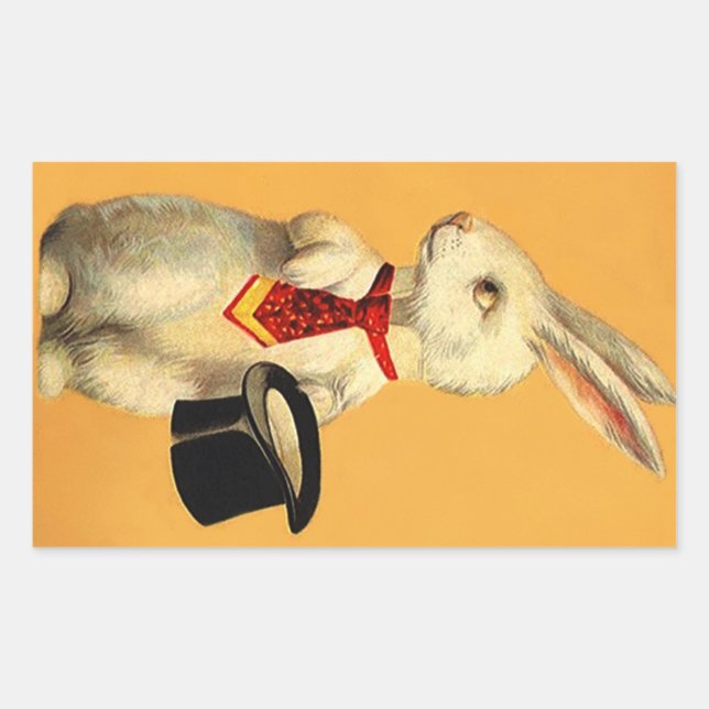 Adesivo Retangular Sticker Vintage Anthro Magic Hat Trick Rabbit (Frente)