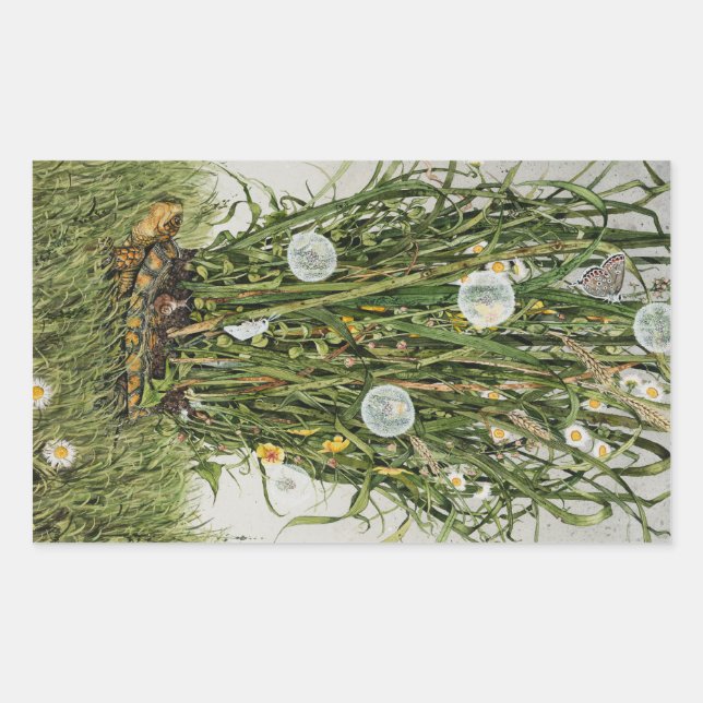 Adesivo Retangular Stray Sod (Frente)