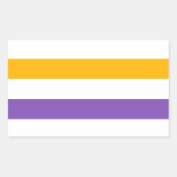 sufrage flag rights das mulheres 19th Emenda