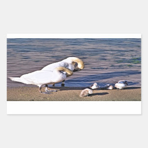 ADESIVO RETANGULAR SUL