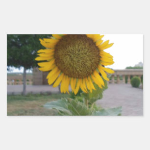 Adesivo Retangular Sunflower Art Impressão