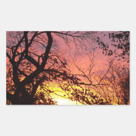 Adesivo Retangular Sunset Colorido Através De Árvores Negras