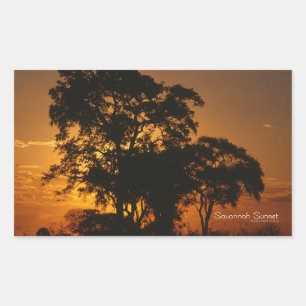 Adesivo Retangular Sunset Savannah