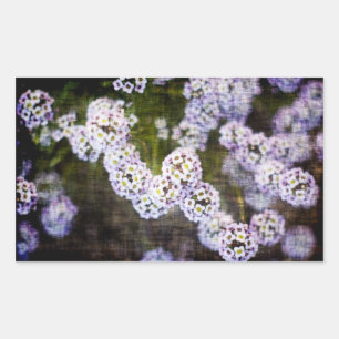 Adesivo Retangular Sweet Alyssum em Grunge