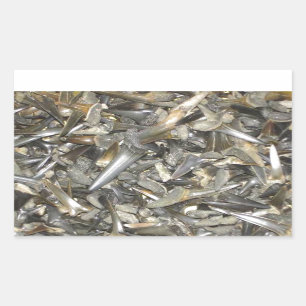 Adesivo Retangular Teste padrão fóssil dos dentes do tubarão