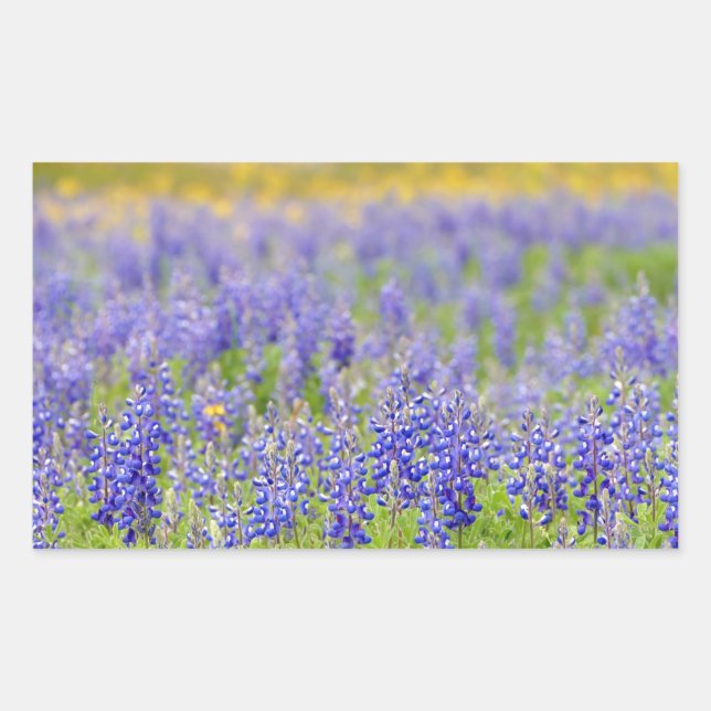 Adesivo Retangular Texas Bluebonnets (Frente)