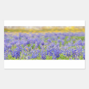 Adesivo Retangular Texas Bluebonnets